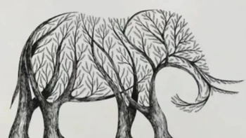 Quiz: Bạn sắp gặp được quý nhân trong công việc?