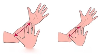 Quiz: Bạn có tố chất của một nhà lãnh đạo bẩm sinh?