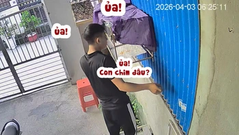 Chàng trai 'tiếc đứt ruột' khi chim sổ lồng không hay biết