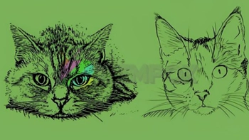 Quiz: Bạn có phải là người dễ nổi nóng, thiếu kiên nhẫn?