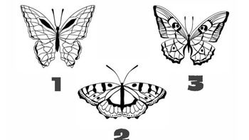 Quiz: Điều tốt đẹp nào đang chờ đón bạn trong tương lai?