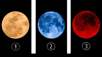 Quiz: Tình hình tài chính sắp tới của bạn sẽ thế nào?