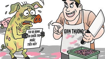Thịt heo bệnh vào trường học: Nghiêm trị để ngăn tái diễn