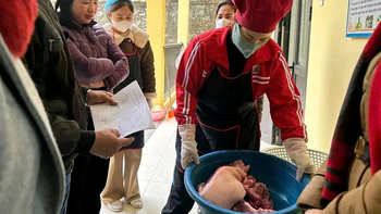 Yêu cầu làm rõ nghi vấn thịt heo nấu ăn cho trẻ mầm non nhiễm khuẩn E.coli và dịch tả