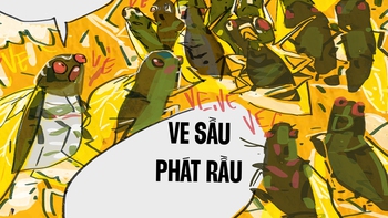 Ve sầu phát rầu vì mùa hè không... inverter