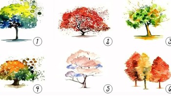 Quiz: Bạn quyến rũ, chân thành hay thông minh, điềm đạm