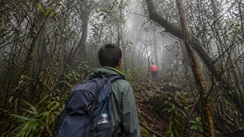 Vì sao hay nói người thất lạc khi leo núi, đi rừng 'bị dẫn'?