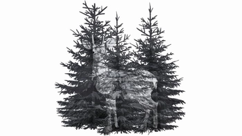 Quiz: Bạn là người đáng tin cậy, tốt bụng và dịu dàng?