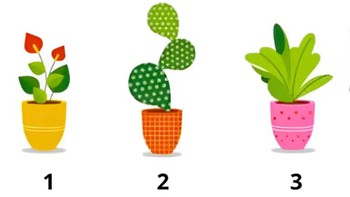 Quiz: 'Độ tuổi tâm hồn' của bạn là bao nhiêu?