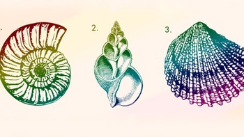 Quiz: Bạn sở hữu tố chất lãnh đạo bẩm sinh?