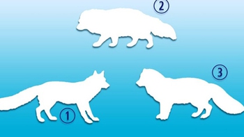 Quiz: Bạn sở hữu tâm hồn lãng mạn hay là người mạnh mẽ?