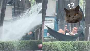 Đang ngủ trưa thì gặp ngay 'cơn mưa ngang qua'