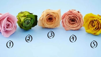 Quiz: Bạn đối diện với áp lực như thế nào?