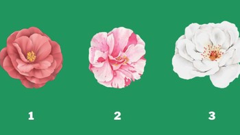 Quiz: Bạn sở hữu phong cách lãnh đạo linh hoạt hay sẵn sàng đổi mới?