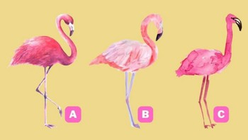 Quiz: Bạn khiêm tốn hay tự tin, quyết đoán?