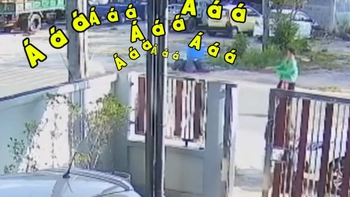 Bò chạy té khói khi thấy... người đẹp