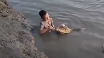 Thực hư clip cậu bé đánh răng cho cá sấu đang viral