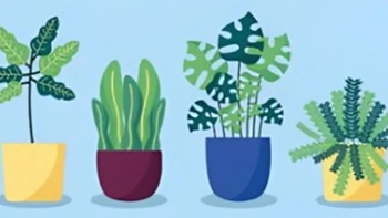 Quiz: Bạn tràn đầy năng lượng và luôn sống với tinh thần tích cực?