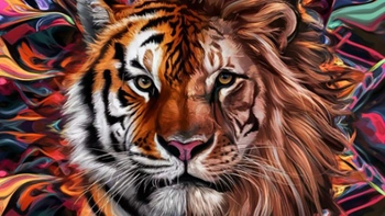 Quiz: Bạn có phải là người thẳng thắn, trung thực?