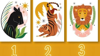 Quiz: Điều gì đang cản trở bạn thành công?