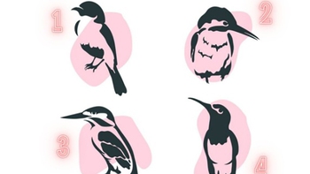 Quiz: Bạn là người luôn nỗ lực hết mình để đạt được mục tiêu?