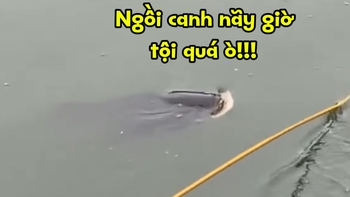 Cần thủ nổi quạo vì bị cá trêu ngươi