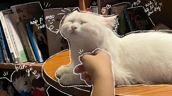 Trào lưu chỉnh ảnh 'vẽ doodle bằng AI' gây tranh cãi