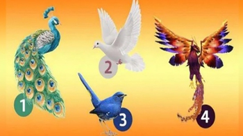 Quiz: Bạn sắp đón nhận tin vui gì?