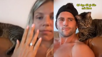 Những chú mèo 'dính ông chủ như sam'