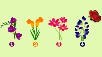 Quiz: Bạn như thế nào khi yêu?