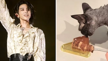 Nam ca sĩ Trung Quốc bị 'ném đá' vì để mèo ăn bánh chocolate