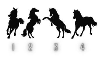 Quiz: Điều gì tạo nên nét đặc biệt riêng của bạn