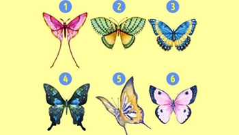 Quiz: Bạn có khả năng sáng tạo vượt trội?