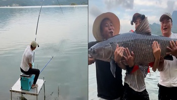 Câu được cá trắm đen khủng, cần thủ không bắt mà thả lại sông