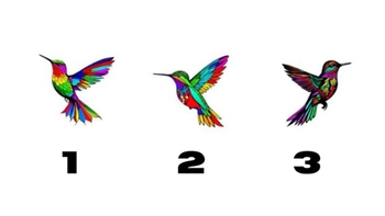 Quiz: Điểm yếu của bạn là gì?