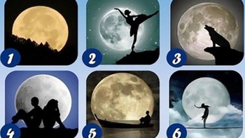 Quiz: Bạn mạnh mẽ, nhiệt huyết hay năng động, tinh tế?