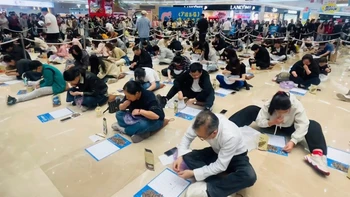 Có một cuộc thi gọi tên 'người cắn hạt hướng dương nhanh nhất'