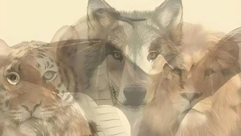 Quiz: Bạn nổi bật với tính cách gì?