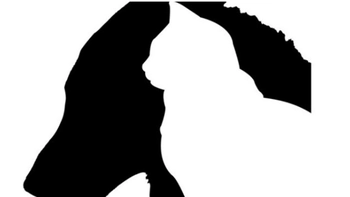 Quiz: Bạn là người khiêm tốn hay kiêu hãnh?