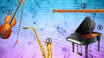 Quiz: Bạn dịu dàng, tinh tế hay là người linh hoạt, mạnh mẽ?