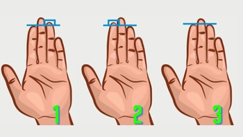 Quiz: Bạn có tố chất lãnh đạo hay là người tính cách ôn hòa?