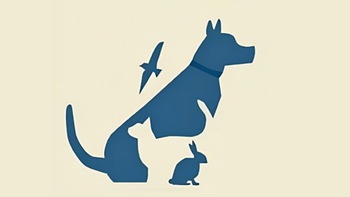 Quiz: Bạn kiên định, hào phóng hay là người thông minh, tinh tế?