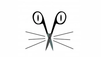 Quiz: Bạn đang trải qua khoảng thời gian hạnh phúc trong tình yêu?