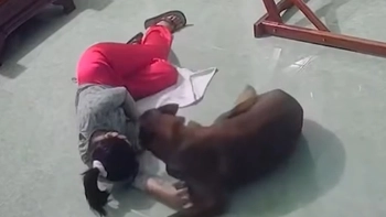 Chú chó cưng phản ứng cực đáng yêu khi thấy cô chủ xỉu