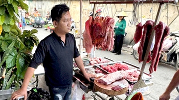 Lại phát hiện đường dây làm giả thịt bò từ thịt heo nái ở TP.HCM, mỗi ngày tiêu thụ 140kg