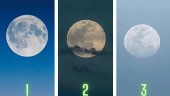 Quiz: Bạn là người tốt bụng, giàu lòng vị tha?