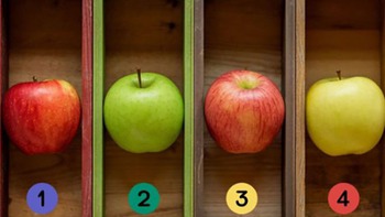 Quiz: Bạn lạc quan, kín đáo hay là người có tư duy phân tích tốt?