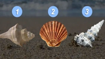 Quiz: Bạn đã vượt qua nhiều 'dông bão' để trở nên mạnh mẽ?