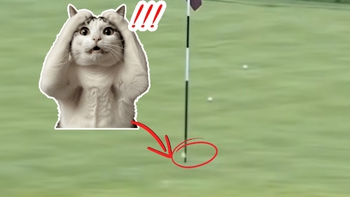 Pha đánh golf đỉnh cao khiến ai cũng phải trầm trồ
