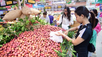 Mận hậu Sơn La 'đổ bộ' siêu thị với giá bất ngờ